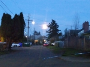 moon moon