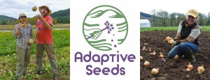 Andrew Still of Adaptive Seeds