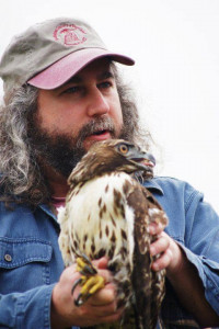 Bob Sallinger and Peregrine Falcon