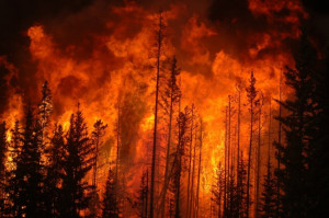 Fort McMurray residents airlifted from wildfire in 2016 Fort McMurray residents airlifted from wildfire in 2016