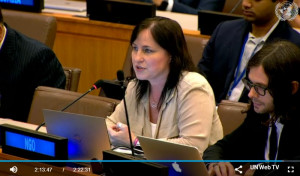 Heather Haase, NY NGO Committee Heather Haase, NY NGO Committee on Drugs