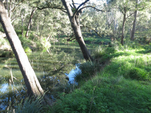 Koreelah Campground by Mike Fitzgerald Koreelah Campground