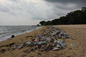 Litter on Singapore's east coast park Litter on Singapore's east coast park