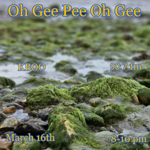 A scene of green on a beach covered in algae and seaweed