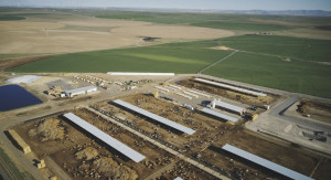 Massive CAFO Dairy in Eastern Oregon