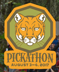 Pickathon 2017