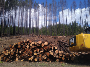 Riverside Fire logging along hwy 224