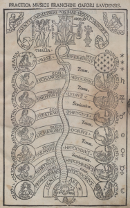 Chart from 1493 text titled Practica Musica. At the bottom is Silent Thalia at the top sits Apollo on the left side are a column of nine muses on the right are the notes of the a minor scale in the center is Cerberus whose three heads point down and whose