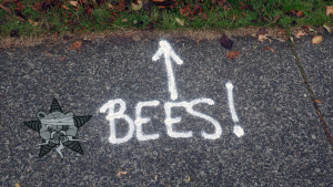 The word Bees next to the Self Help Radio logo.