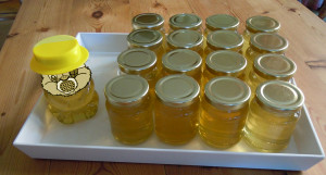 Jars Of Honey