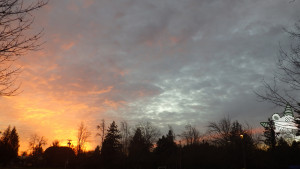 A Portland sunset, with the Self Help Radio hiding amongst the shadows of the firs.