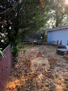 A trampoline in a yard with the Self Help Radio logo superimposed on the ground.