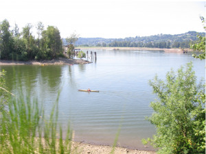 Willamette River Green Oasis