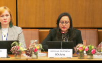 Adriana Foronda, a Bolivian diplomat serving as the Alternate Permanent Representative at Bolivia's Permanent Mission to Austria and to international organizations in Vienna