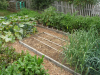 raised gardening bed