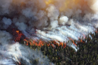Fort McMurrary fire 2016