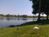 The GPS worked great. I got there 15 minutes early. I took a picture of some birds.