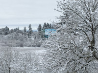 Oaks Bottom snow