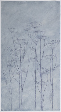 sarah_horowitz_blue_seed_heads_2021.jpg sarah_horowitz_blue_seed_heads_2021.jpg