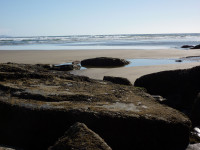 Short Sands Beach, Oregon