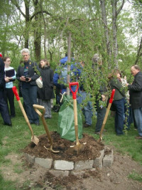 Memorial Tree planting in Morningside Park by Columbia University